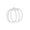 Vector pumpkin hand drawn outline doodle illustration isolated image, food sketch