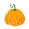 Vector pumpkin head portrait with angry emotions for Halloween celebration. gourd screams isolated on white background