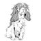 vector Purebred dog Cavalier King Charles Spaniel