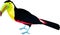 Vector rainbow-billed toucan