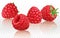 Vector Raspberries on a white