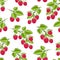 Vector Raspberry Branches