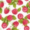 Vector raspberry pattern