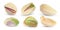 Vector raw pistachio nuts with shell. Realistic salted kernel background.