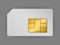 vector real sim card with gold chip