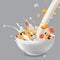 Vector realism style illustration muesli in bowl with fruits and berries