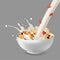 Vector realism style illustration muesli in bowl with goji