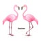 Vector realistic 3d pink flamingo set
