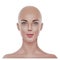 Vector realistic bald hairless woman portrait 3d