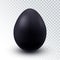 Vector Realistic Black Chicken egg