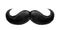 Vector realistic black mustache