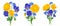 Vector realistic buttercups, pansies and forget-me-nots in botanical illustrations isolated on white background.