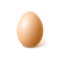 Vector realistic chicken brown egg, easter spring