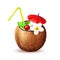 Vector realistic coconut exotic fruit 3d