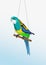 Vector realistic colorful parrot is sitting on the