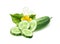 Vector realistic cucumber green haulm leaf flower