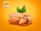 Vector realistic detailed almonds with nutshells with green leaves isolated on warm background. Natural ingredient