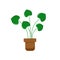 Vector realistic fern in a pot. Ornamental houseplant