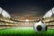 Vector realistic footbal soccer stadium background