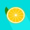 Vector realistic grapefruit icon with long shadow.