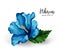 Vector realistic hibiscus flower leaves blue