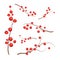 Vector realistic holly ilex branch with berry set