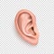 Vector realistic human ear icon closeup isolated on transparency grid background.