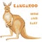 Vector realistic illustration of a cute mom kangaroo with a little baby in pocket. Good for a family brand of clothes for moms