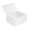 Vector realistic image of an open rectangular paper box