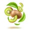 Vector realistic kiwi swirl motion with leaves