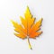 Vector realistic maple leaf with shadow on white background
