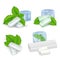 Vector realistic mint chewing gum icon set