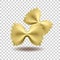 Vector realistic pasta farfalle made from flour. National italian food. Isolated object on a transparent background