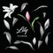 Vector realistic pink lily blossom leaves stem set