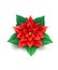 Vector realistic poinsettia flower red star xmas