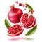 Vector realistic pomegranate with seeds and leaves