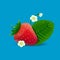 Vector realistic red strawberry, leaves and flowers