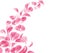 Vector realistic rose, cherry, sakura petal wave