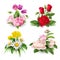 Vector realistic rose tulip daisy peony bouquet