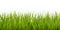 Vector realistic seamless green grass border or frame isolated on white background - nature, ecology, environment, gardening