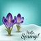 Vector realistic spring flower crocus in a snowdrift. Use for postcards, banners, backgrounds. Gradient mesh tool.