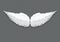 Vector realistic white angel wings on transparent