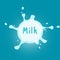 Vector realistic white milk splashes and blots