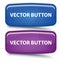 Vector Rectangular Glass Button