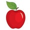 Vector Red Apple with Leaf