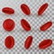 Vector red Blood Cells