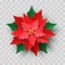 Vector Red Christmas Poinsettia Flower