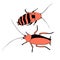 Vector red cockroaches, macro of insects. Pest control. Simple color illustration, clip art in cartoon flat style