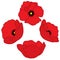 Vector Red Poppies. Poppy Vector Illustration.