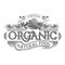 Vector retro farm fresh emblem. Vintage organic food logo